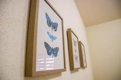 Plano de Casa Bárbara Totalmente Nueva