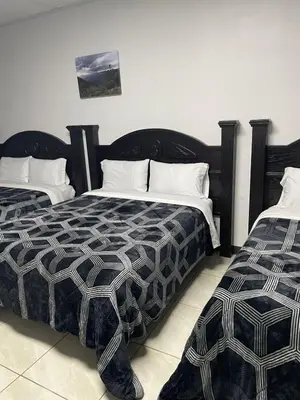 Cama o camas de una habitación en Hotel Plaza Berrendo