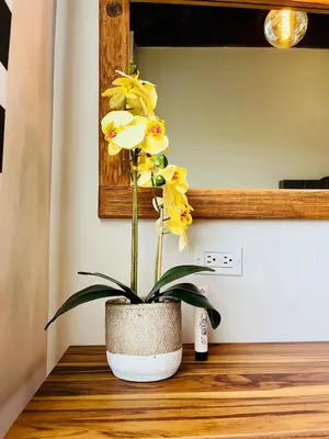 Plano de Loft apartment in the north area