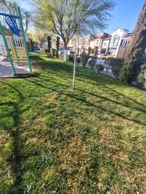 Jardín al aire libre en normahome