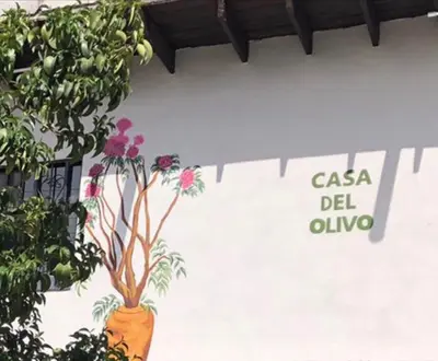 Plano de Casa del Olivo suite 1