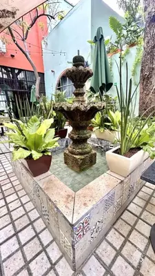 Jardín al aire libre en Habitacion olas altas