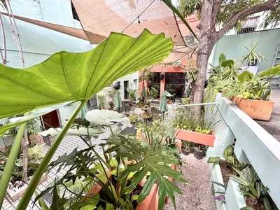 Jardín al aire libre en Habitacion Faro