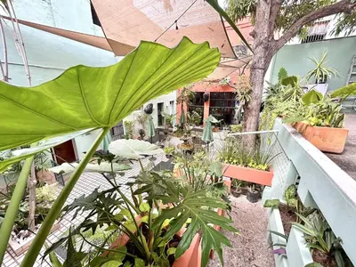Jardín al aire libre en Casa Feliz Playa Norte