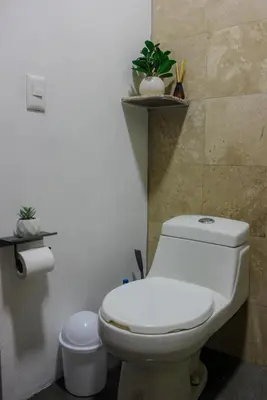 Un baño de Descanso familiar o romantico con plunge pool