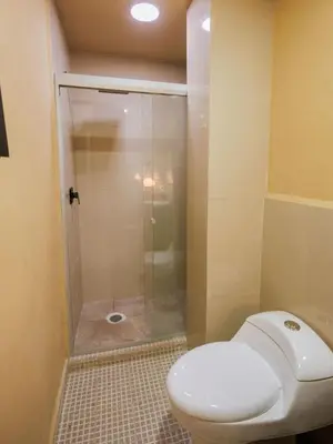 Un baño de San Patricio Hotel Studio