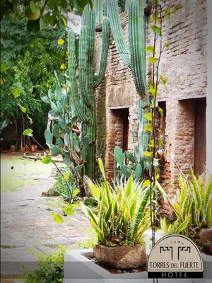 Jardín al aire libre en Hotel Torres Del Fuerte