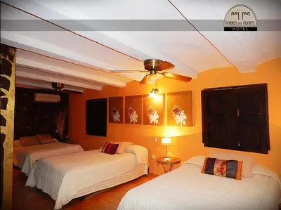 Cama o camas de una habitación en Hotel Torres Del Fuerte