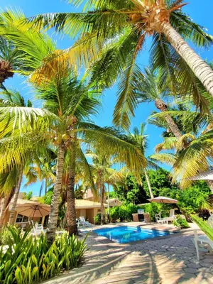 Piscina en o cerca de Coco Cabañas and Casitas Vacation Rentals