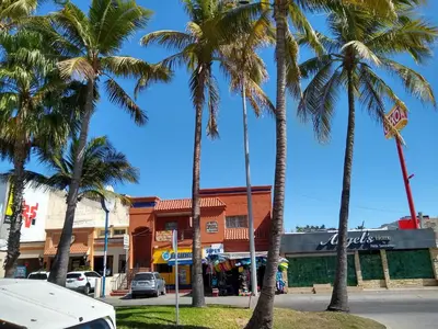 El barrio de los alrededores o un barrio cerca de este apartamento