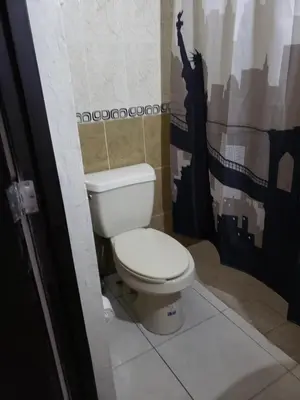 Un baño de Departamentos Mazatlán