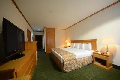 Cama o camas de una habitación en Hotel Sicomoro