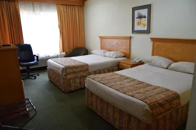 Cama o camas de una habitación en Hotel Sicomoro