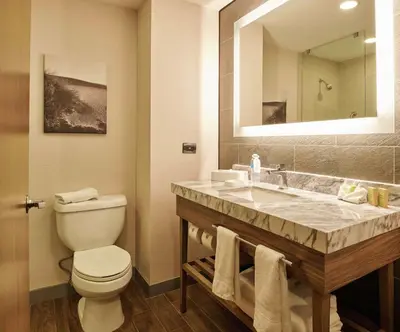 Un baño de Hampton Inn Ciudad Juarez