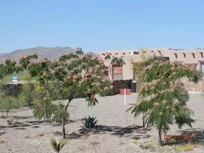Paisaje cerca de este hotel