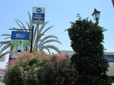 Certificado, premio, señal o documento que está expuesto en Best Western Hotel Posada Del Rio Express