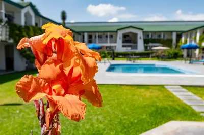 Piscina en o cerca de Quinta Dorada Hotel & Suites