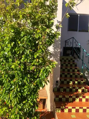 Plano de Hotel JADE