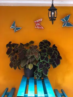Plano de Hotel JADE