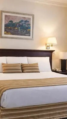 Cama o camas de una habitación en Hotel Zafra