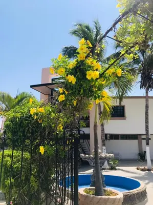 Jardín al aire libre en Hotel Marina Topolobampo
