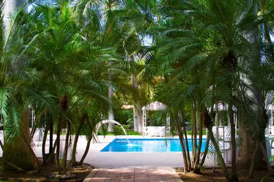 Piscina en o cerca de InHouse Select Hacienda Tres Rios Hotel Culiacán