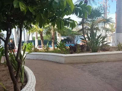 Jardín al aire libre en Hotel Essen's