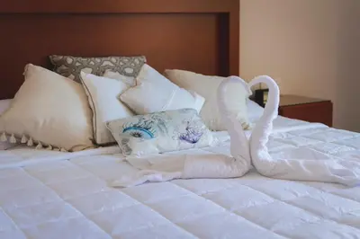 Plano de La Lola Hotel & Suites