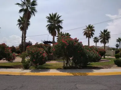 Jardín al aire libre en Departamento EMPRESARIAL cerca de zona industrial