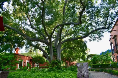 Jardín al aire libre en Hacienda de los Santos
