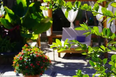 Jardín al aire libre en Hotel Villa de Urike