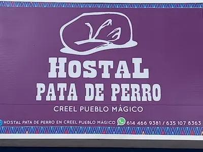 Certificado, premio, señal o documento que está expuesto en Hostal Pata de Perro