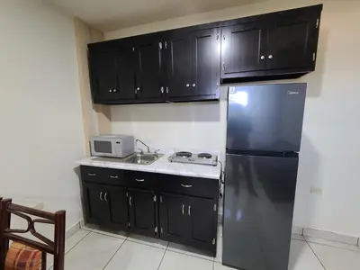 Una cocina o zona de cocina en Apartamentos Milenario
