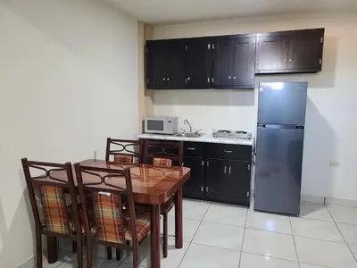 Una cocina o zona de cocina en Apartamentos Milenario