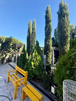 Jardín al aire libre en La Casita Inn Bustamante