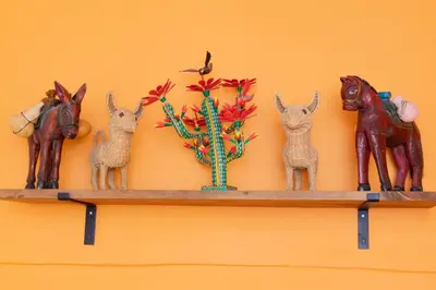 Animales en la casa o chalet o alrededores