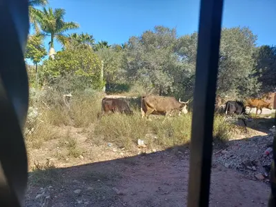 Plano de Hacienda Gallardos 104-3