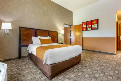 Cama o camas de una habitación en Comfort Inn Chihuahua