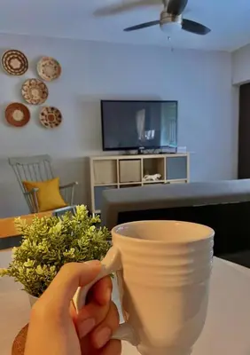Una televisión o centro de entretenimiento en Acogedor departamento totalmente remodelado, tranquilo y centrico