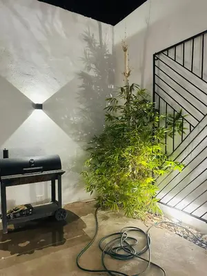 Jardín al aire libre en Casa Castaño Cd Jrz