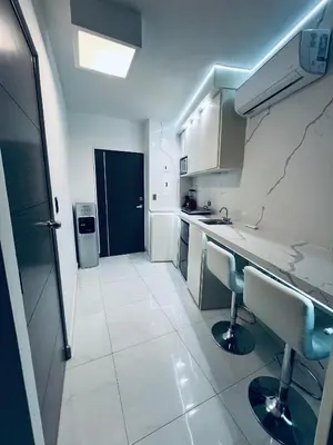 Una cocina o zona de cocina en Departamento ejecutivo nuevo